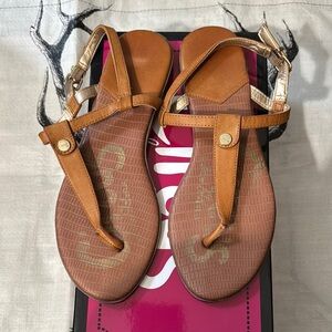 Circus by Sam Edelman Brown and Gold T-Strap Sandals